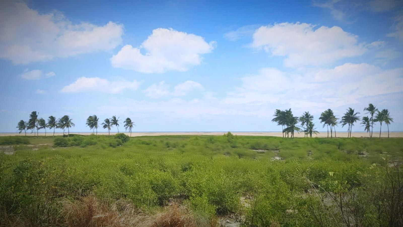 A&Y Wild Camp Ghana Keta 外观 照片