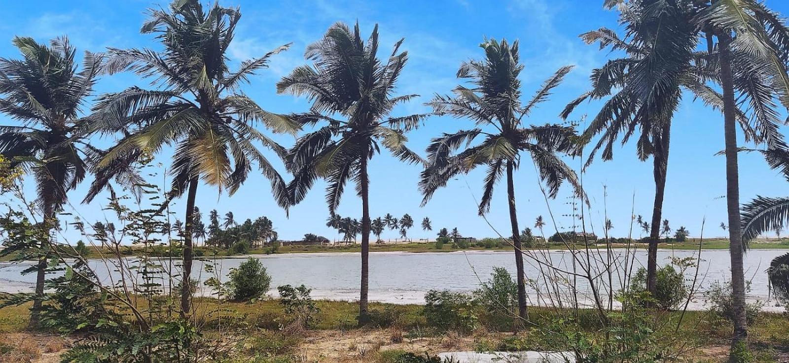 A&Y Wild Camp Ghana Keta 外观 照片