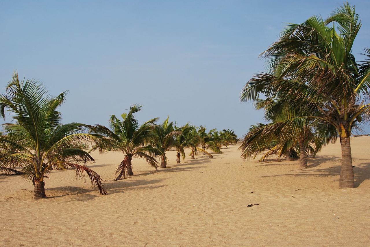 A&Y Wild Camp Ghana Keta 外观 照片